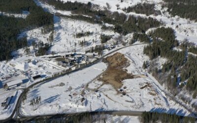 Ål kommune, Wangen næringsområde, Delområde 1, Torpo
